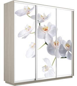 Шкаф 3-х дверный Экспресс 2400х600х2200, Орхидея белая/шимо светлый в Улан-Удэ
