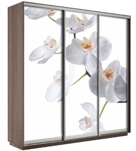 Шкаф 3-дверный Экспресс 2400х600х2400, Орхидея белая/шимо темный в Улан-Удэ
