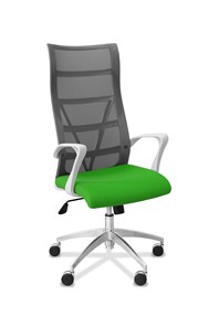 Офисное кресло для руководителя Топ X белый каркас, сетка/ткань TW / серая/салатовая в Улан-Удэ