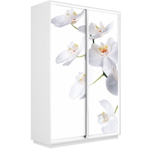 Шкаф 2-створчатый Экспресс 1600x450x2400, Орхидея белая/белый снег в Улан-Удэ
