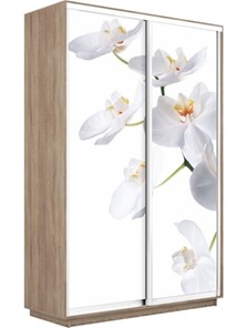 Шкаф 2-х створчатый Экспресс 1600x450x2400, Орхидея белая/дуб сонома в Улан-Удэ