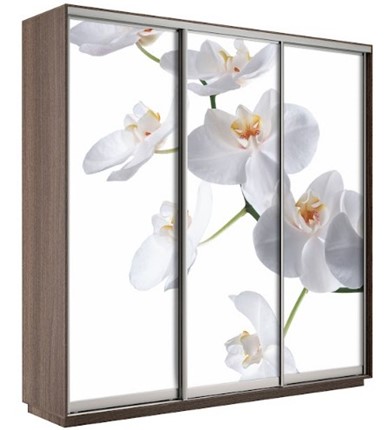 Шкаф 3-створчатый Экспресс 1800х600х2200, Орхидея бела/шимо темный в Улан-Удэ - изображение