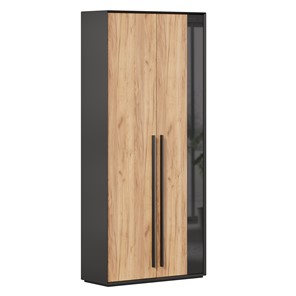 Шкаф для прихожей 2-дверный Неаполь ЛД.134050.000 (Черный/Дуб Золотой) в Улан-Удэ