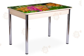 Кухонный стол раскладной Айсберг-02 СТФ, Дуб ЛДСП/полевые цветы/ноги хром прямые в Улан-Удэ