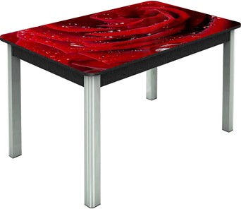 Раздвижной стол Гамбург исп. Мини, ноги метал. крашеные №23, Фотопечать (Цветы №39) в Улан-Удэ