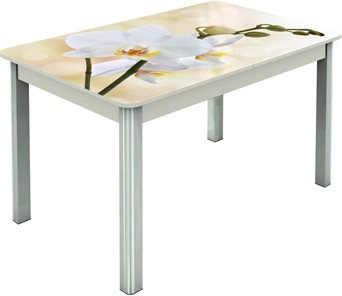 Кухонный стол раздвижной Гамбург исп.2 ноги метал. крашеные №23, Фотопечать (Цветы №5) в Улан-Удэ