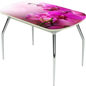 Раздвижной стол Ривьера исп.2 ноги метал. крашеные №24 Фотопечать (Цветы №16) в Улан-Удэ