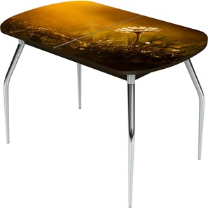 Кухонный раздвижной стол Ривьера исп.2 ноги метал. крашеные №24 Фотопечать (Цветы №43) в Улан-Удэ