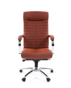 Кресло офисное CHAIRMAN 480 Экокожа Terra 111 (коричневая) в Улан-Удэ - предосмотр 1