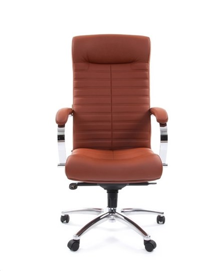 Кресло офисное CHAIRMAN 480 Экокожа Terra 111 (коричневая) в Улан-Удэ - изображение 1