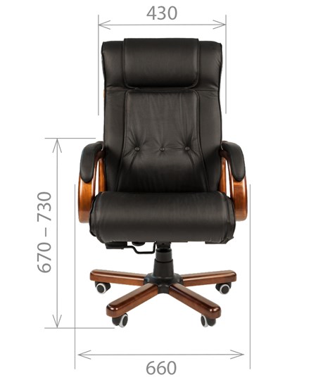 Офисное кресло CHAIRMAN 653 кожа черная в Улан-Удэ - изображение 1
