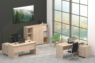 Офисный комплект мебели Twin в Улан-Удэ - предосмотр 4