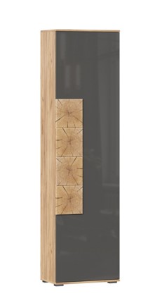 Шкаф одностворчатый Фиджи с декоративными накладками 659.300, Дуб Золотой/Антрацит в Улан-Удэ - изображение