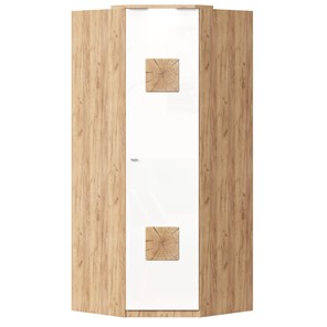 Шкаф угловой 45 с декоративной накладкой Фиджи, 659.248, белый в Улан-Удэ - предосмотр