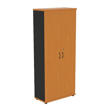 Шкаф двухдверный Моно-Люкс R5S05 в Улан-Удэ - изображение