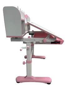 Растущий стол и стул Carezza Pink FUNDESK в Улан-Удэ - предосмотр 7